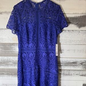 ANTONIO MELANI Royal Blue Lace Midi Dress